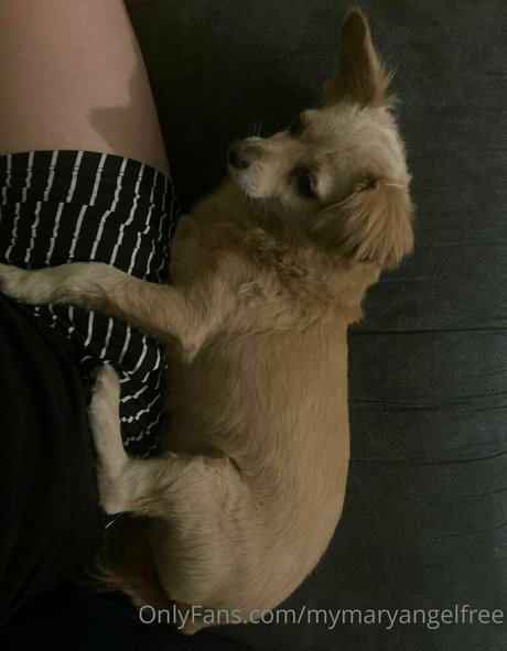 mymaryangell actrice artistique des photos