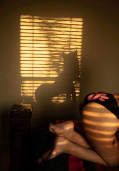 audazzity belle étoile photo