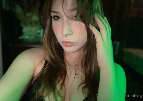 rottenbxby xxx star du porno archive