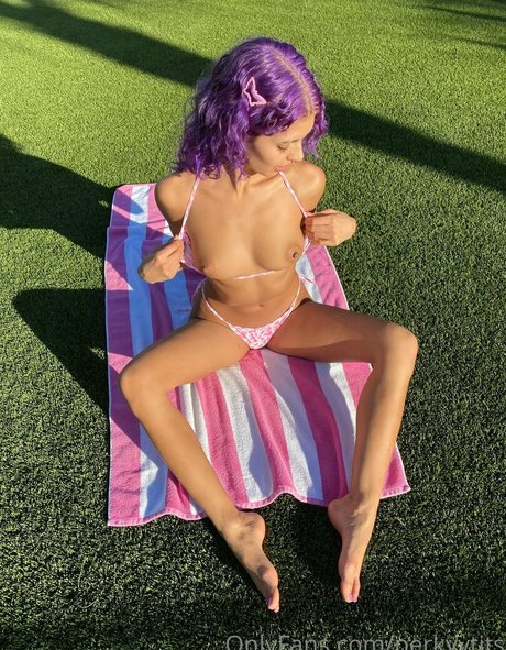 perkyytits haut de star du porno image