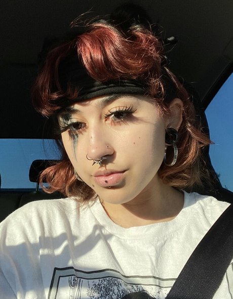 Suedmza étoile exclusive galerie