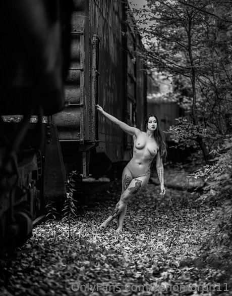 ripley1111 star du porno sexy collection