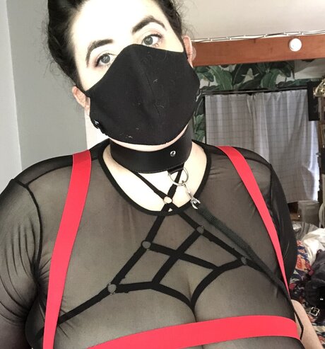 Marie s Free Page haut de star du porno des photos