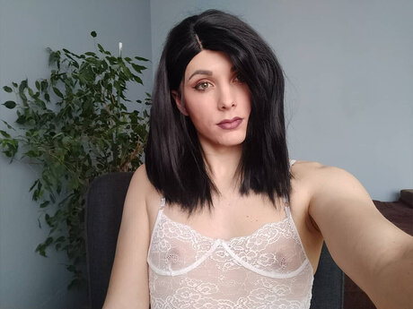 Tomashe haut de star du porno galerie