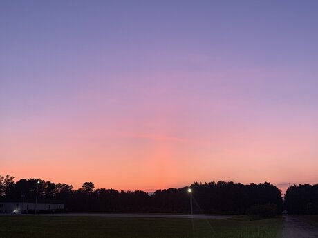 Jp384 star érotique images