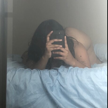 Uhcricket art étoile galerie