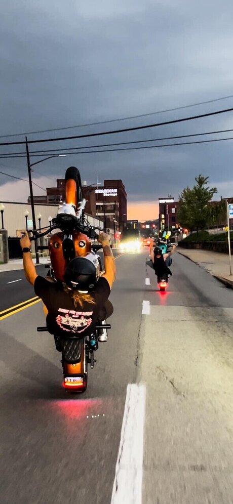 CUZIN EDDIE modèle joli galerie