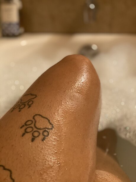 NV ME étoile de haute qualité des photos