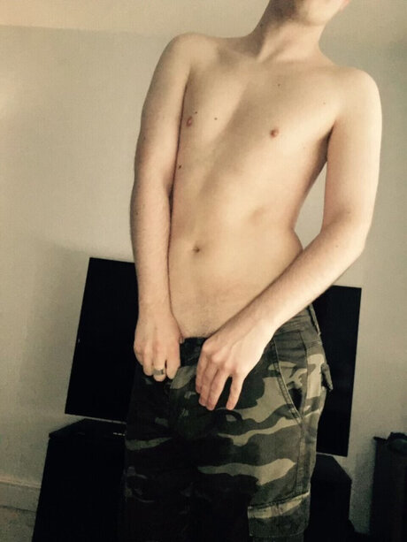 The Geek art de star du porno collection