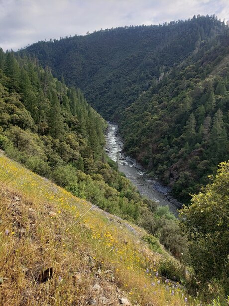 pipe éjaculation dans la bouche onlyfans jolie adulte archive