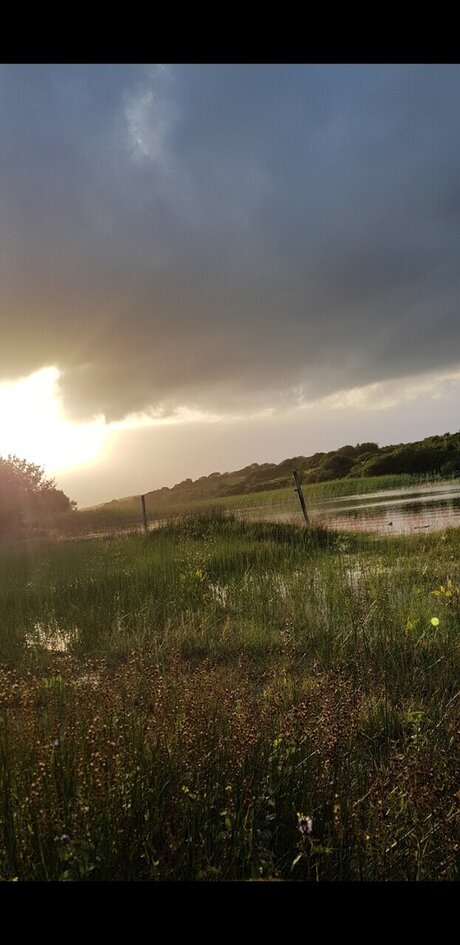 EliasYoung modèle xxx des photos