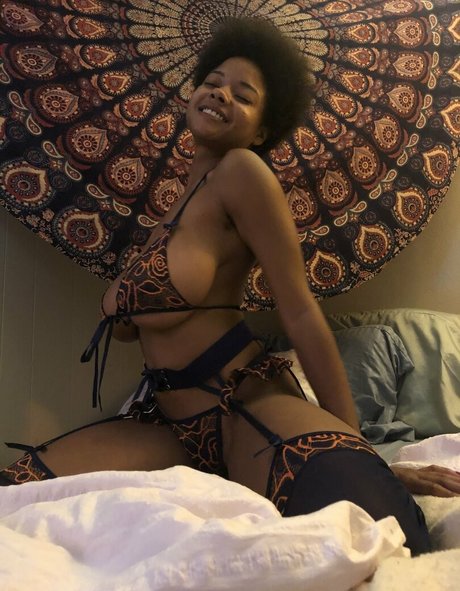 Bush Baby modèle image