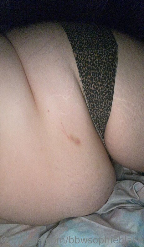 bbwsophieblake xxx star du porno collection