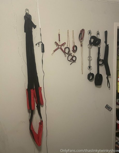 thaslinkytwinkyshow modèle artistique collection