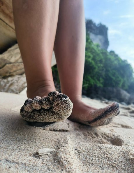 bakinggiantbuns star exclusive collection