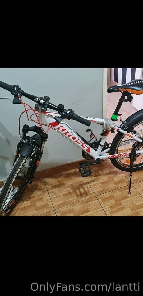 lantti sexe de star du porno collection