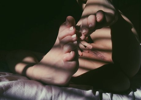 fans liés uniquement exclusif archive