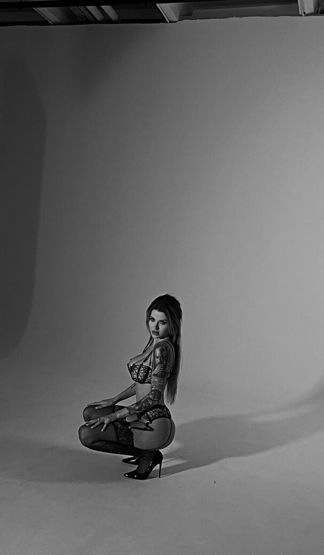 no zapret nus star du porno collection