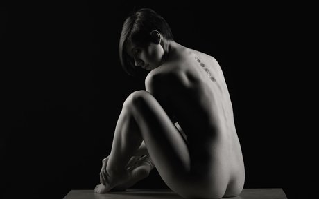 Hannacentauri mannequin collection