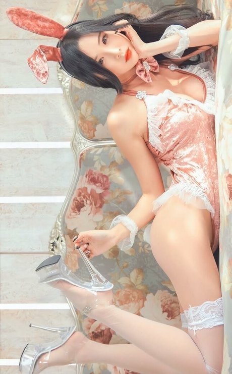 habin s2__ modèle sympa galeries