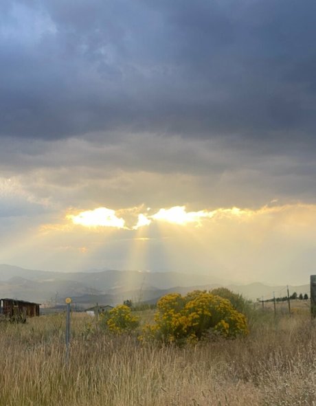 snixx xxx star du porno archive