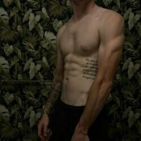 Nathan Windsor nus star du porno collection