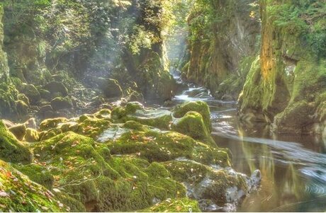 iuna wager modèle meilleur archive