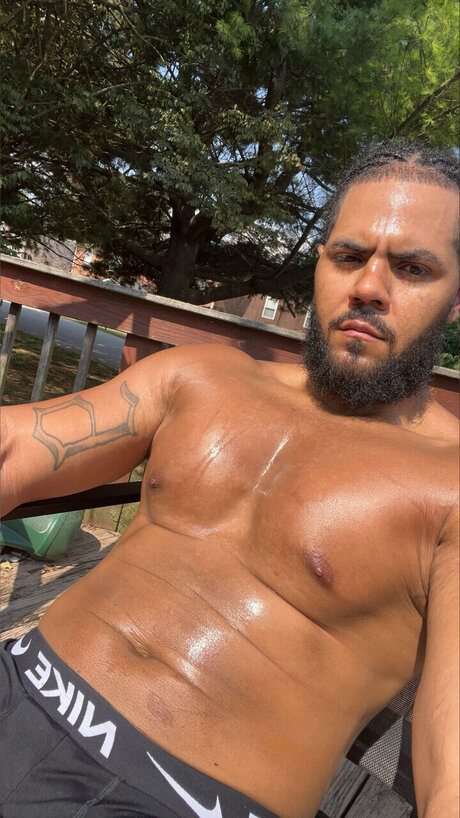 DOG beau modèle image