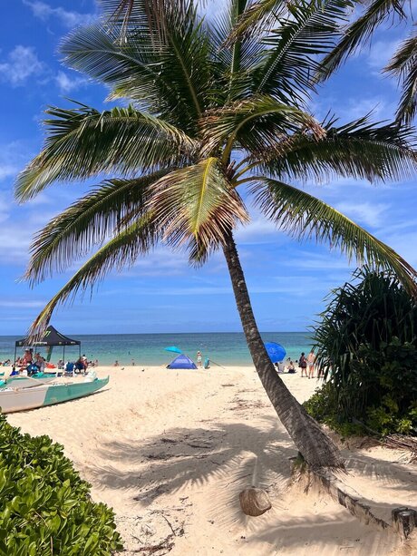 Mr Bear jolie star du porno image