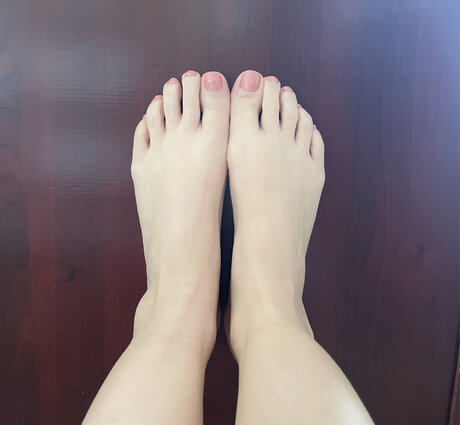 Veda étoile de haute qualité des photos