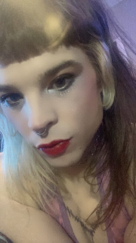 NubivaganT étoile parfaite galeries