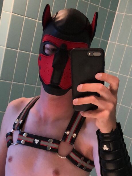 Dutch Top actrice porno images