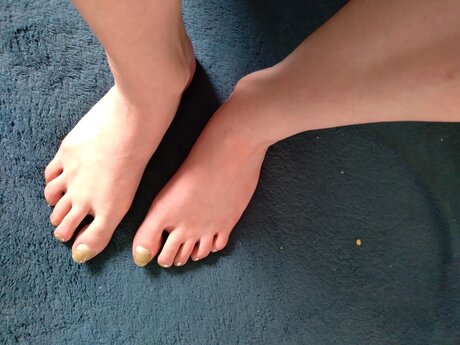 Xxx sexe star du porno collection