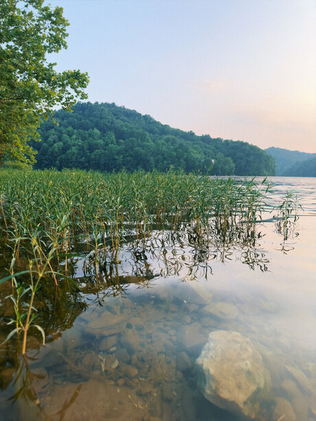 Huskycub58 top star archive