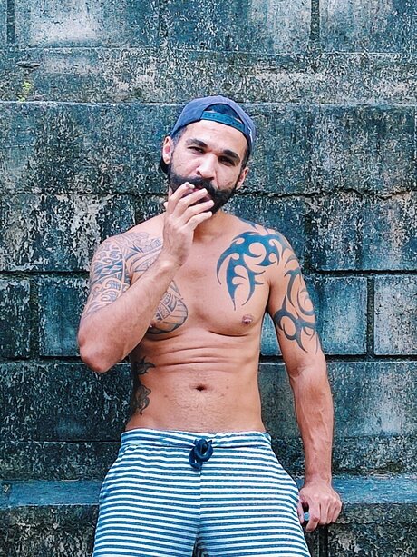 Ga cho dotado modèle collection