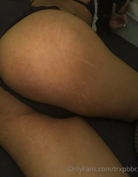 trxpbbc beau modèle galerie