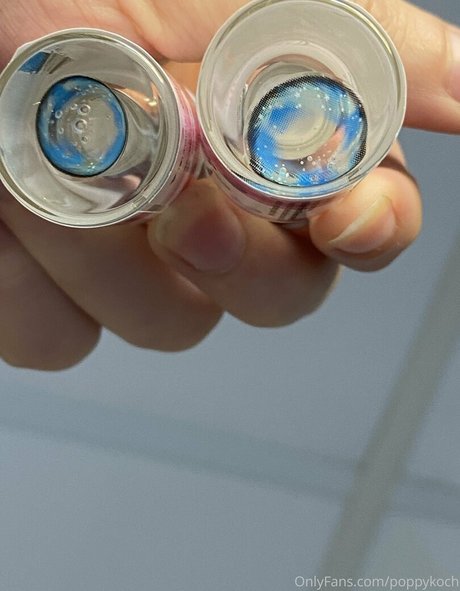 poppykoch haut étoile image