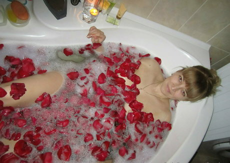 foxylera jolie étoile galeries