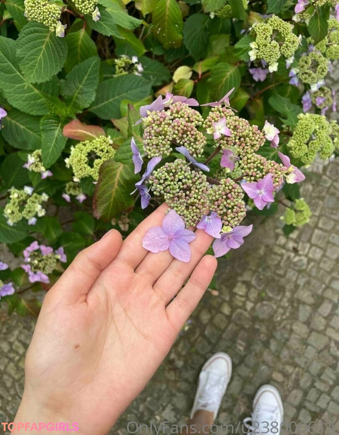 fans de seins et de cul uniquement jolie adulte images