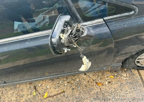 jena larose star du porno belle archive