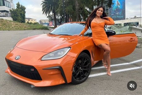 jena larose art de star du porno collection