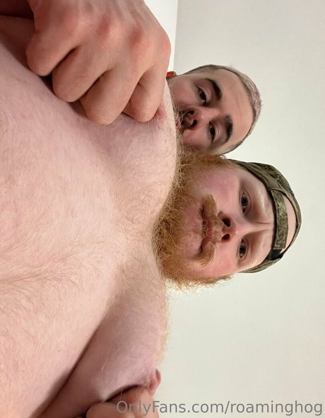 roaminghog étoile adulte photo