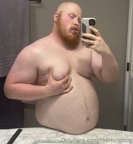 roaminghog xxx étoile img