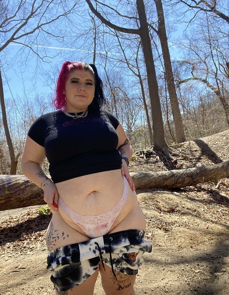 rainbowfundipp modèles nus image