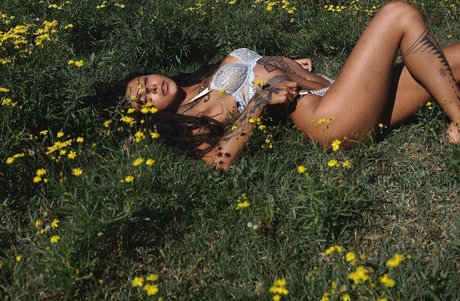 Thefreeelf art étoile collection