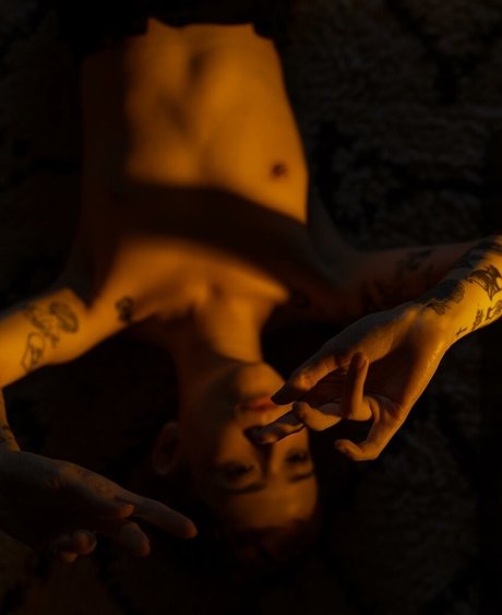 Ann Cid top star images