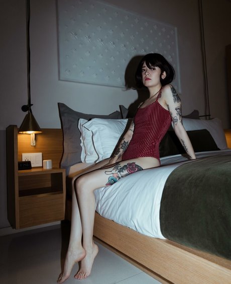 Ann Cid étoile de haute qualité galerie