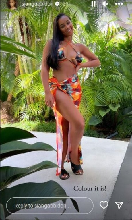 Sian Gabbidon nus star du porno photo