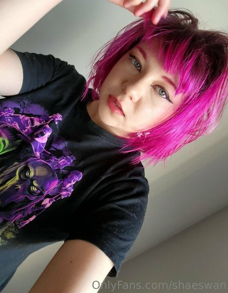 shaeswan étoile de haute qualité galeries