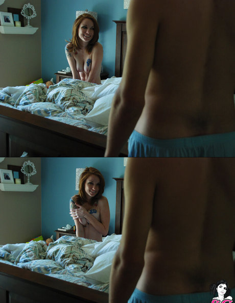 Kemper SG étoile sympa image